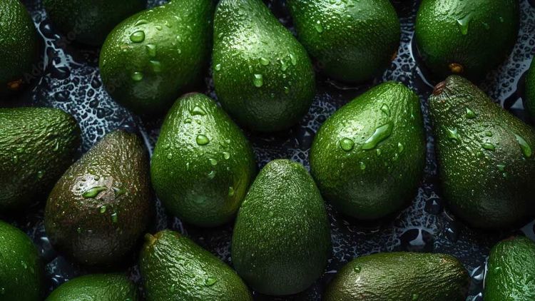 Imagen de portada - Soluciones de cadena de frío de Maersk para la exportación de aguacates desde Colombia