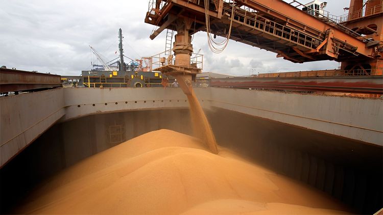 Imagen de portada - Soybean and Corn Maritime Transport Grows in South America During Q2 2026