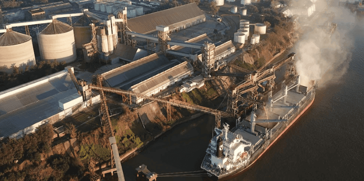 El line up de poroto de soja trepó a 0,77 millones de toneladas y el trigo llegó a 0,61