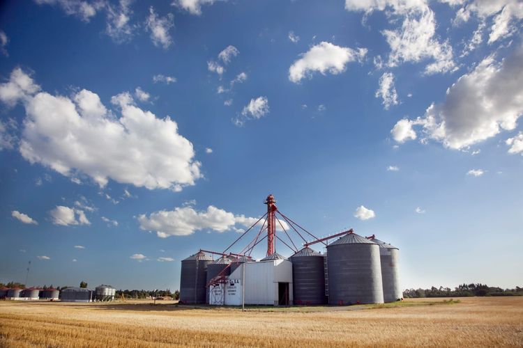 Imagen de portada - The National Government Formalized a New Reduction in Export Duties for the Agricultural Sector
