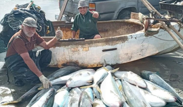 Una de las joyas de la gastronomía mundial se radica en la Patagonia tras un hallazgo científico en el Golfo Nuevo