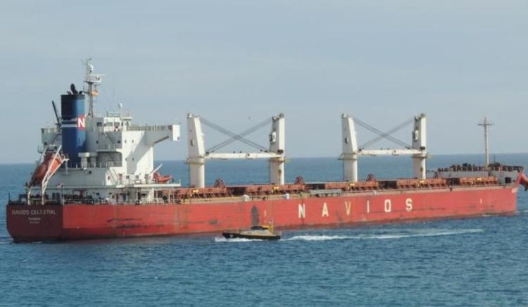 Un práctico evitó una colisión de alto riesgo en el Paraná de las Palmas
