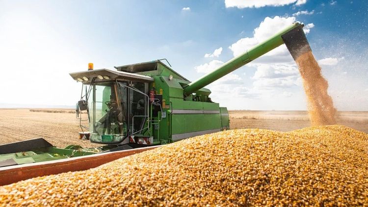 La actividad de la cadena agropecuaria creció un 3% en junio y alcanzó un nuevo máximo histórico