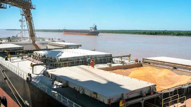 La balanza del complejo sojero arrojó un superávit de US$ 1.712 millones en junio