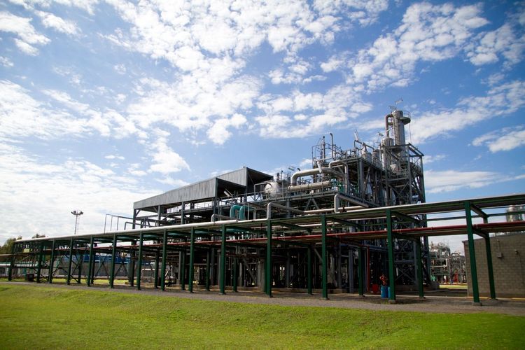 El Gobierno Nacional actualizó la normativa para la evaluación de microorganismos genéticamente modificados para el ámbito agropecuario y agroindustrial