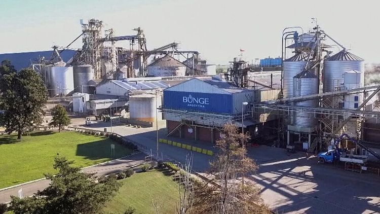 Bunge lideró el ranking nacional de agroexportadores durante el primer semestre impulsado por su integración operativa con Viterra