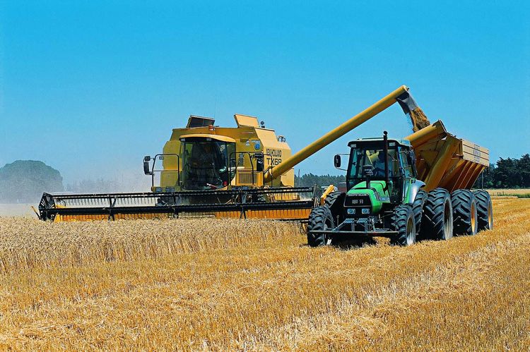 El Niño y el agua en el campo: dónde se corta el flujo de grano hacia la terminal