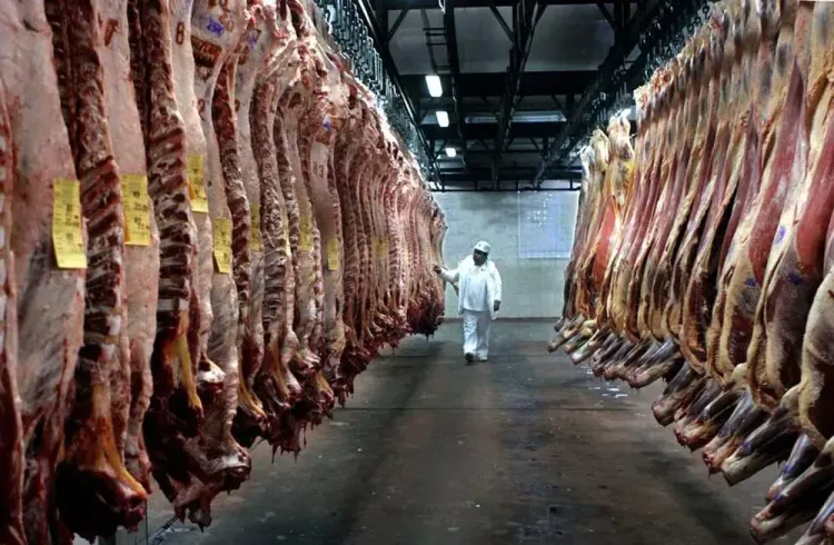 Estados Unidos abrió un cupo temporal de carne del que Argentina quedó excluida por tener cuota propia