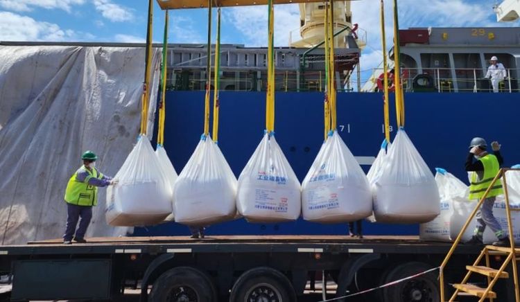 Descargan en San Nicolás 30.000 toneladas de carbonato de sodio para proyectos de litio