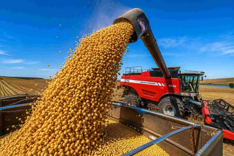 La cosecha de soja 2025/26 cerró con una producción de 50,1 millones de toneladas y un rendimiento récord de 31,3 qq/Ha