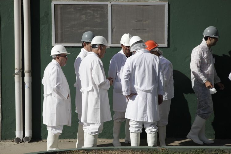La Secretaría de Agricultura, Ganaderia y Pesca acortó a 90 días el plazo para resolver infracciones comerciales en granos y carnes
