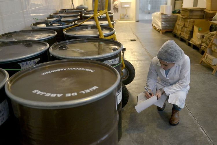 Las economías regionales lograron un hito histórico: las exportaciones alcanzaron su mayor valor en 22 años