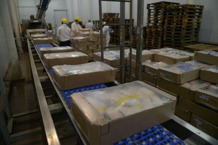 Corea del Sur reabrió su mercado para la carne aviar argentina y avanza en la auditoría de productos pesqueros