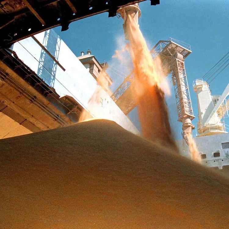 El agro explicó el 57,5% de las exportaciones en un primer semestre récord, mientras el petróleo desplazó a la harina de soja