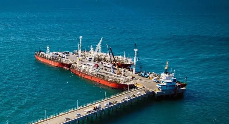 Los desembarques pesqueros crecieron un 4% en el país, pero Mar del Plata sufrió una fuerte caída en sus descargas marítimas