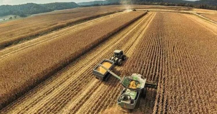 La cadena de la soja aportaría u$s 19.106 millones a la economía en la campaña 2025/26