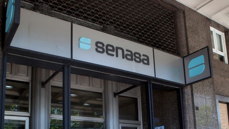 El SENASA eliminó 42 normas de protección vegetal para simplificar el marco regulatorio