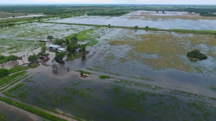 Santa Fe se anticipa al impacto de El Niño con Ropeca, la herramienta que protege la producción y organiza la asistencia