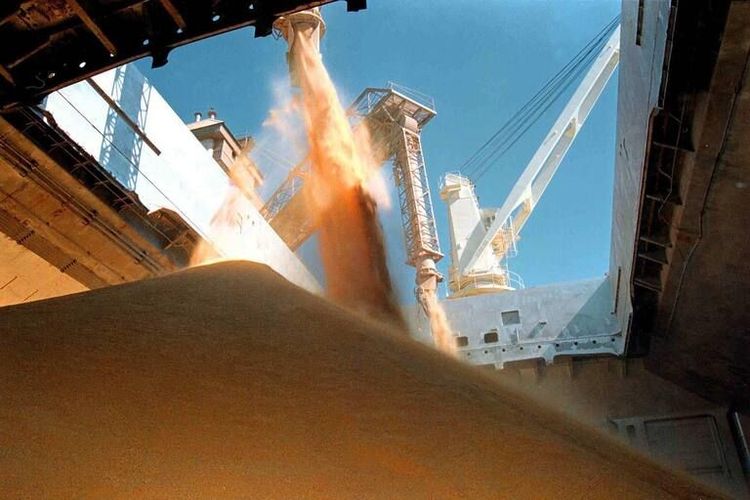 Comercialización de soja: resta por poner precio al 57% de la producción de la campaña 2025/26