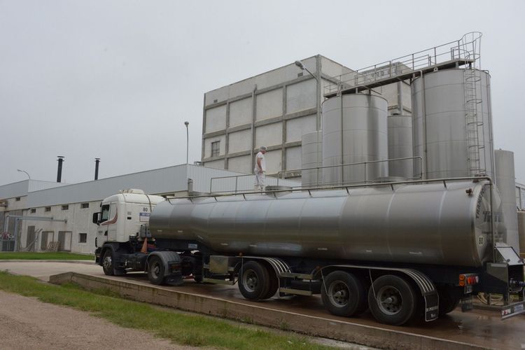 Las exportaciones lácteas alcanzaron los US$ 987 millones entre enero y julio