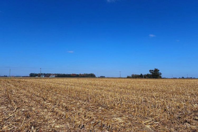 Un estudio del INTA asoció el manejo agrícola con cambios estructurales en el suelo y mermas en el carbono orgánico
