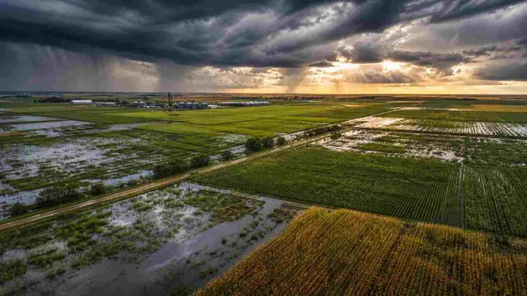 "El Niño" exigirá anticipar planes logísticos ante el riesgo de excesos hídricos