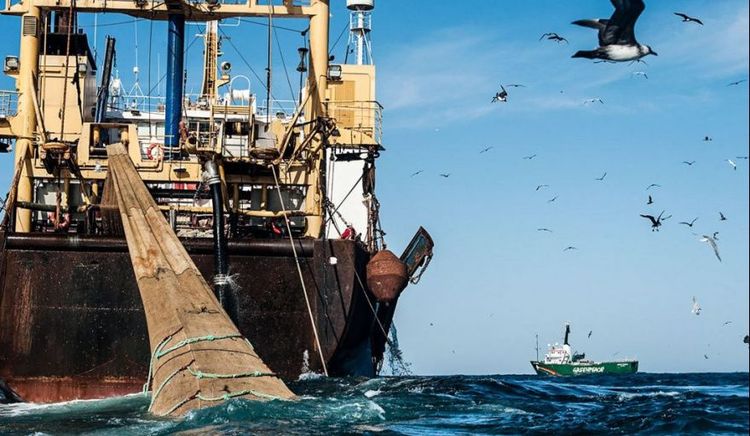 Argentina entre los tres países del mundo más afectados por la pesca ilegal