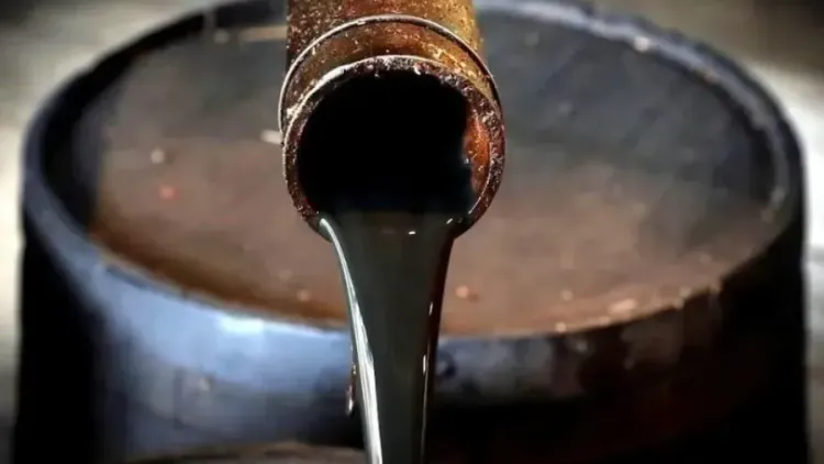 El petróleo crudo lideró las exportaciones argentinas en el primer semestre de 2026, seguido por el maíz y la harina de soja, con un superávit comercial de u$s 13.923 millones