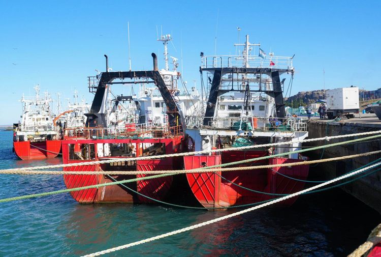 Pesca comercial: habilitan la Subárea 12 tras registrar rendimientos de 5.903 kg/h en la prospección de langostino