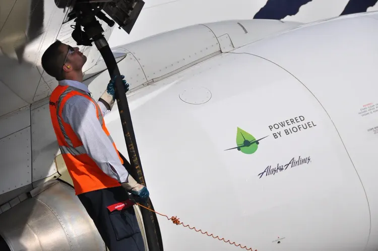 La industria aceitera reclamó una nueva ley de biocombustibles y advirtió por el atraso frente a Brasil