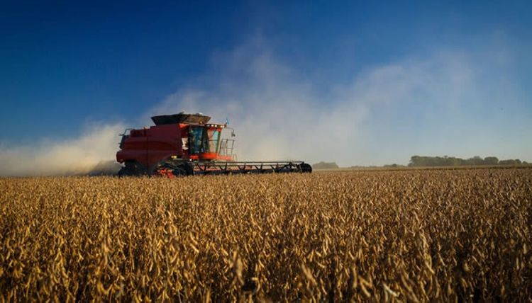 Informe de Mercados Agrícolas: Proyección y balances de soja, maíz y trigo para la campaña 2026/27