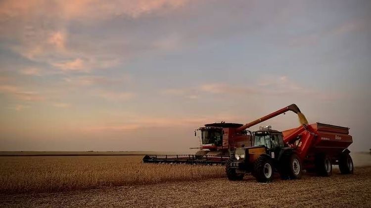 Santiago del Estero exportó US$796 millones en 2025, con las oleaginosas como motor del rebote