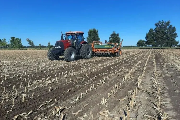 La actividad agropecuaria creció 1,4% en mayo y consolidó su recuperación cerca del máximo histórico
