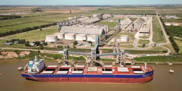 Las exportaciones de aceite de soja marcaron un récord en los primeros cinco meses de la campaña 2025/26