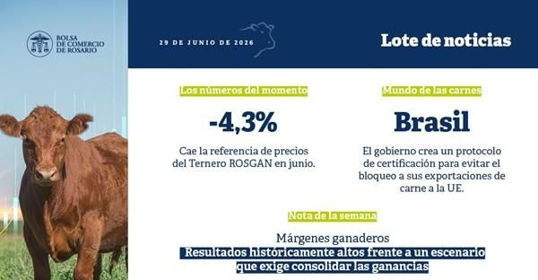 Márgenes ganaderos: el ROSGAN destacó resultados históricamente altos y planteó el desafío de capitalizar las ganancias