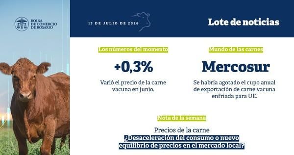 Mercado cárnico: precios en meseta, sustitución de proteínas y cambios estructurales en el consumo argentino