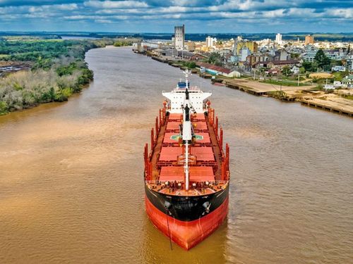 Un buque carga troncos en Concepción del Uruguay e Ibicuy con destino a India