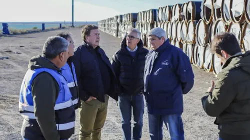 San Antonio Este dispone de 18 hectáreas de acopio para los proyectos energéticos