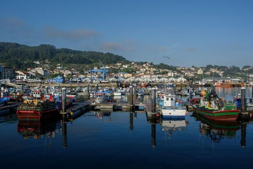 La Feria Portuaria consolida su primera edición con la presencia de organizaciones y oradores internacionales