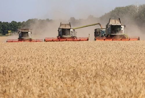 Ucrania prevé sembrar 17% menos trigo de invierno por las trabas en sus puertos