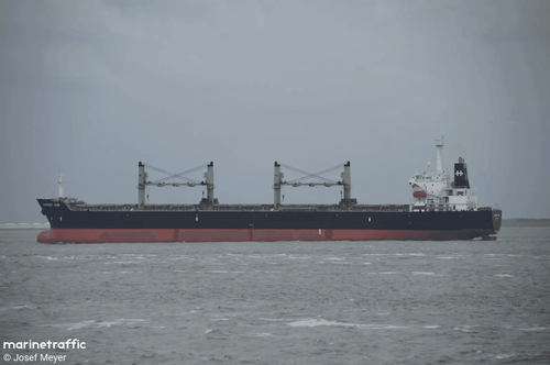 Acidente de Guindaste Fere Dois Operadores Durante Elevação de Carga no Porto de Mumbai