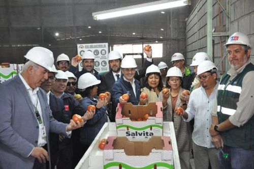 Região de Arica e Parinacota inicia nova temporada de exportações de tomate para a Argentina