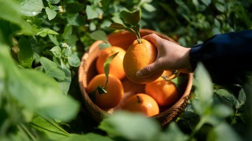 Take the next step in delivering quality. Join us at Expoalimentaria 2026