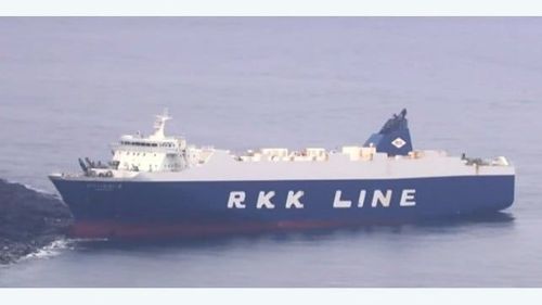 Ferry de carga Ro-Ro japonés encalla en su camino a Tokio