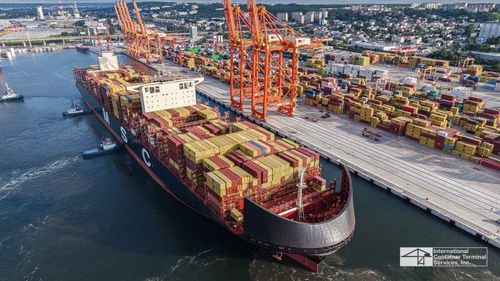 MSC Venice: el mayor portacontenedores en atracar en Puerto de Gdynia