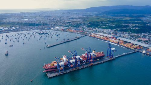 Neltume adquiere control de Puerto Coronel con aprobación de la FNE