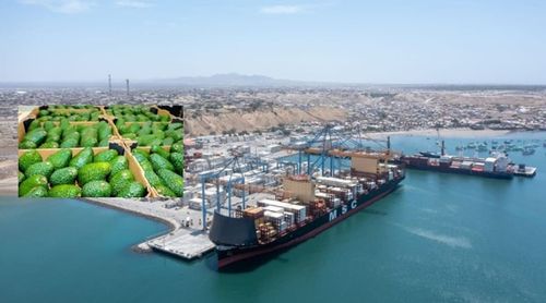 Terminal Portuario de Paita avanza en compromiso de inversión de USD 311 millones