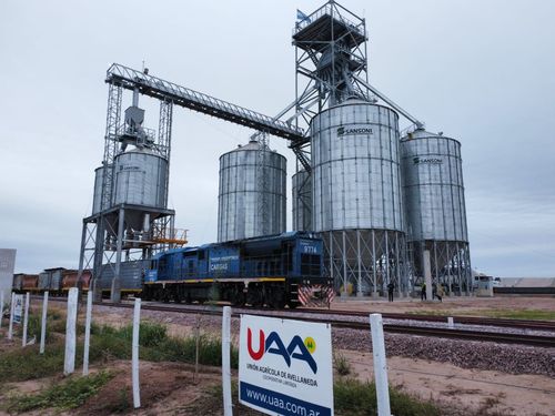 La Unión Agrícola de Avellaneda, décima exportadora de granos del país, evalúa construir un puerto propio