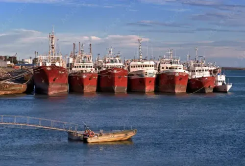 Los desembarques pesqueros crecieron 15,8% en lo que va de 2026 y llegaron a 580.249,7 toneladas