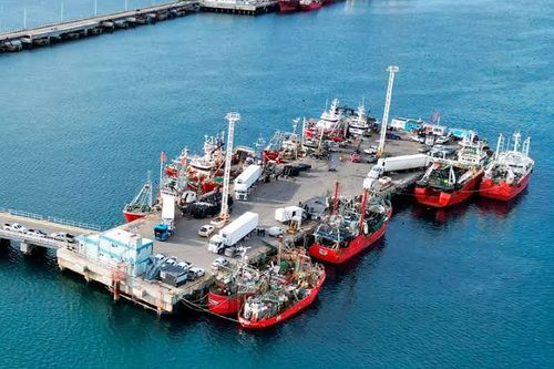 Puerto Madryn casi duplicó sus desembarques y se acercó a Mar del Plata